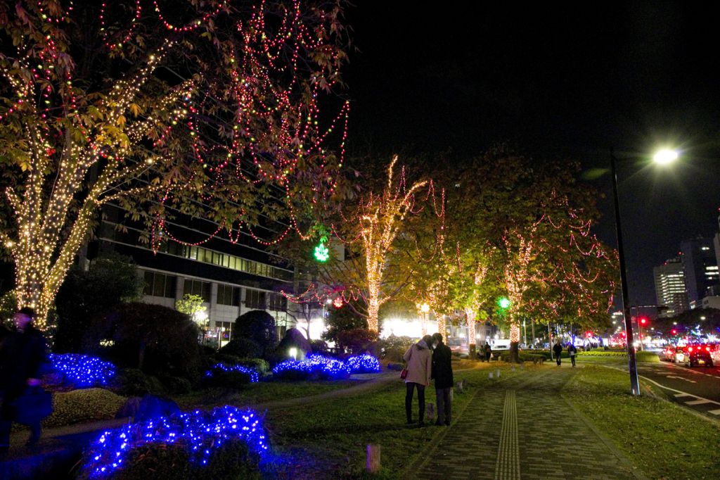 ひろしまドリミネーション2015