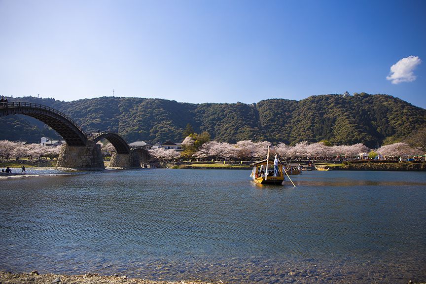 春の遊覧船 さくら舟 19 イベントカレンダー 旅やか広島