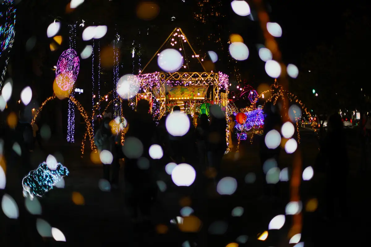 ひろしまドリミネーション2025:今日開催