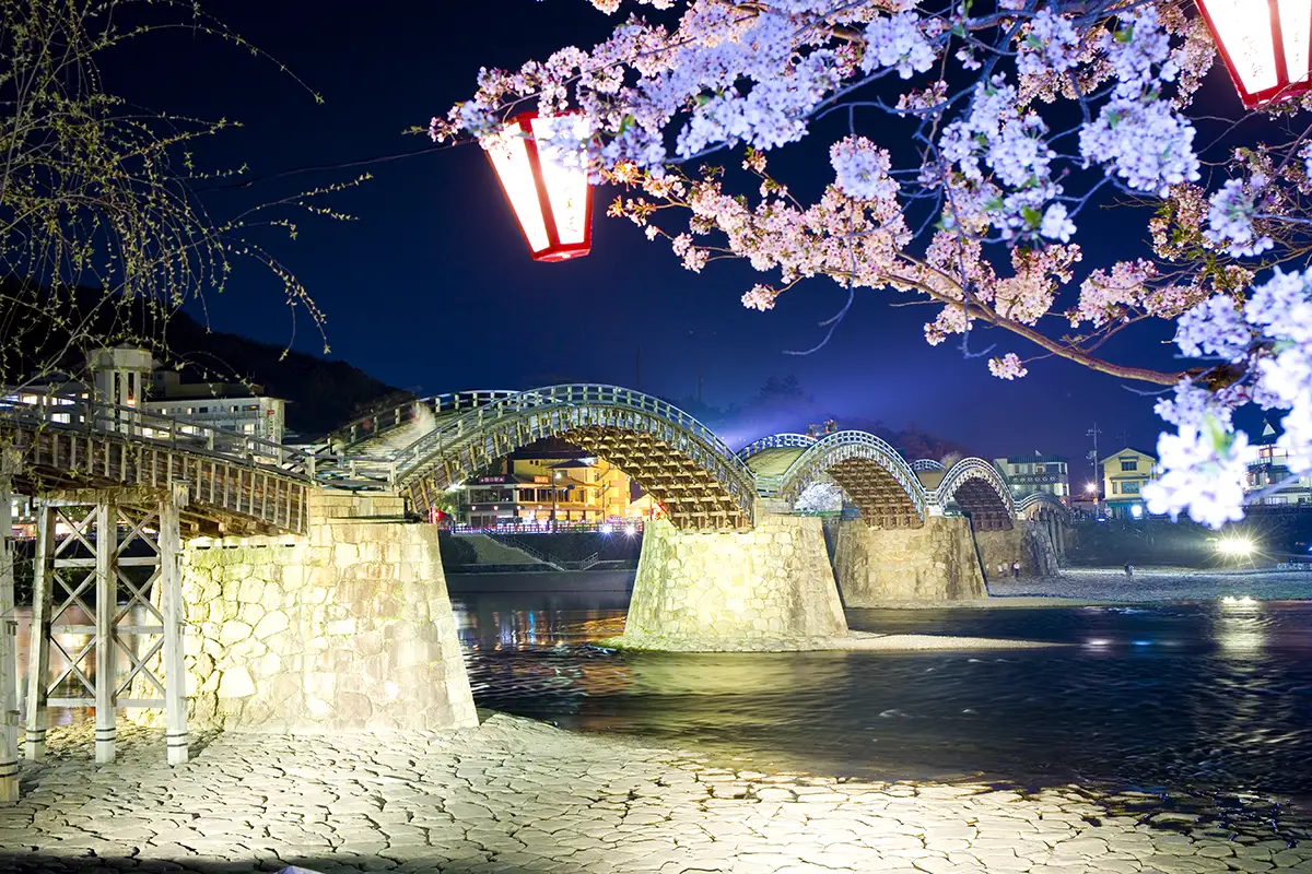 錦帯橋の桜ライトアップ2026:今日開催