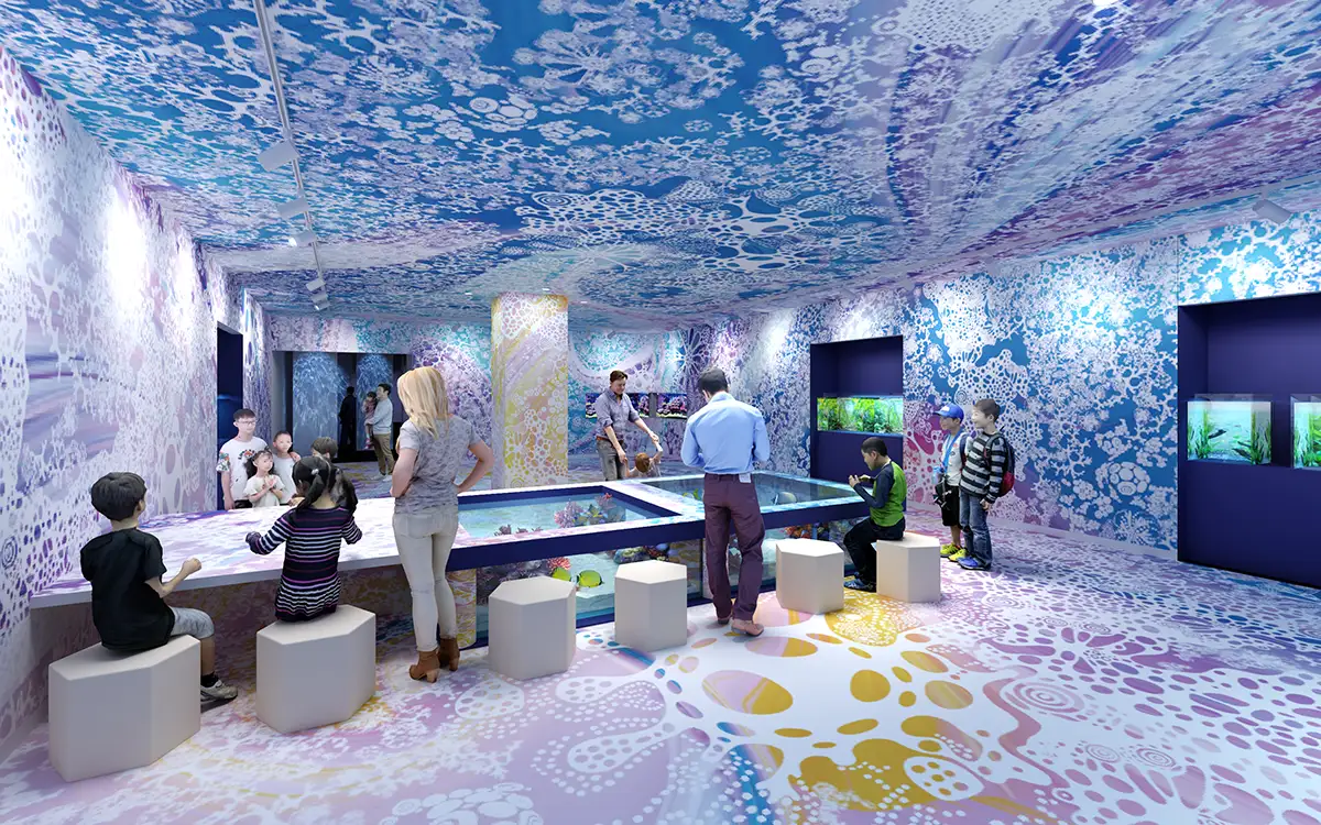 イチオシのインスタレーション（空間演出）1