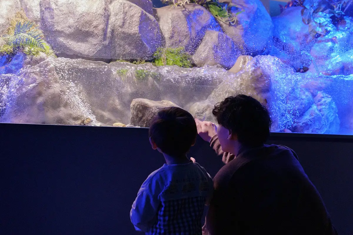 渓流を再現した大型水槽1