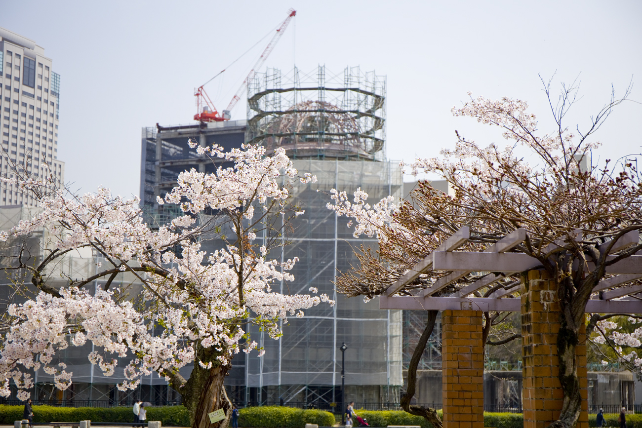 平和記念公園 桜2