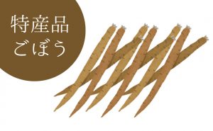 驚きの大きさ！諸田ごんぼう祭りが開催されます