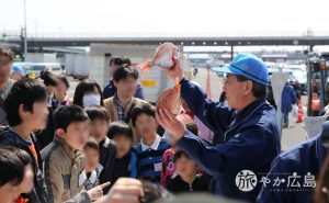 広島市中央卸売市場で、第9回市場まつりが開催されました