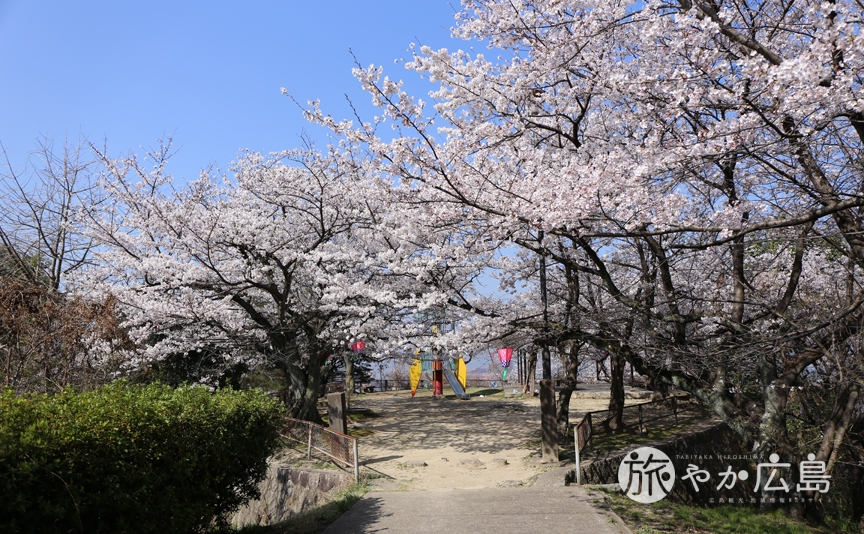 呉市の高台にある桜の名所 串山公園で満開に 広島観光情報総合サイト 旅やか広島