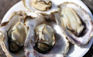 宮島かき祭りで旬の牡蠣料理を思う存分楽しむ
