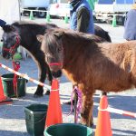 福島県が東北勢として初優勝 【都道府県対抗 全国男子駅伝】広島は4位