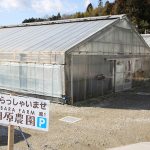 日南キャンプを毎日ライブ配信 「勝ちグセ。カープキャンプLIVE」