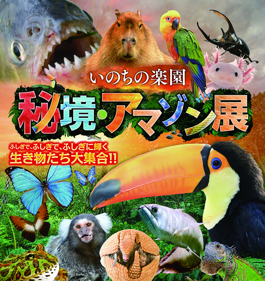 アマゾン秘境に住む約40種類の生き物が広島マリーナホップにやってくる 広島観光情報総合サイト 旅やか広島