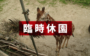 新型コロナによる緊急事態措置のため、安佐動物公園が全面休園に