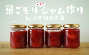 コロナに負けるな！いちごジャム作りキットでおうち時間を楽しく、美味しく