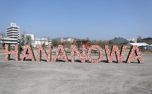 ひろしまはなのわメイン会場が秋の花で再オープン