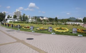 「ひろしまはなのわ」秋のメイン会場が再オープンしました