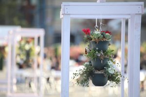 ひろしまはなのわ最終イベントのマルシェ開催中