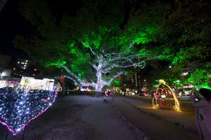 広島の夜に140万球の光が輝く  ひろしまドリミネーション2020が開催中