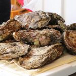 大野かきフェスティバルが今年はラジオ生放送などオンライン開催