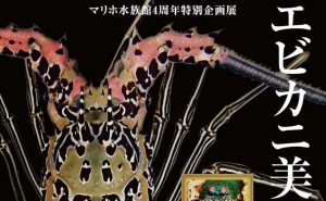 マリホ水族館が4周年の特別企画展として「エビカニ美術館」を企画