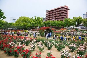 福山ばら祭が新型コロナの影響を受けてオンライン企画のみで開催