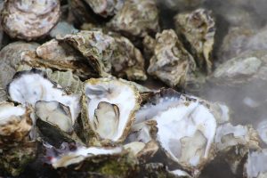 広島県内約20カ所で開催される2022年の牡蠣祭りが全て中止に