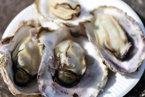 2023年の宮島かき祭り中止が発表されました