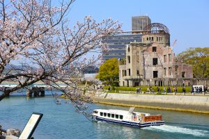 桜の名所・平和記念公園が満開になり、広島市民と観光客、外国人旅行者で賑わう