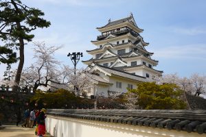 福山城がリニューアル後に初めて迎えた桜の季節