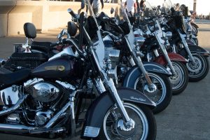 フラワーフェスティバルでハーレーダビッドソンのパレード　サイドカー乗車小学生募集