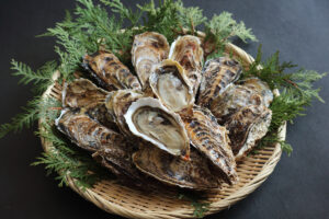 うつみ牡蠣小町が味わえる「うつみ牡蠣まつり2024」が開催されます