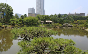 広島の観光名所・縮景園が、5月4日のみどりの日に入園無料を実施