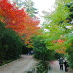 消えずの霊火から移した炭火の上を素足で歩く[大聖院]秋の恒例行事「火渡り式」