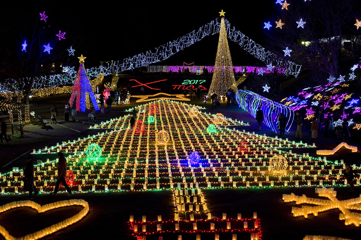 広島市植物公園がイルミネーションでクリスマスの彩りに　土曜日限定の夜間開園