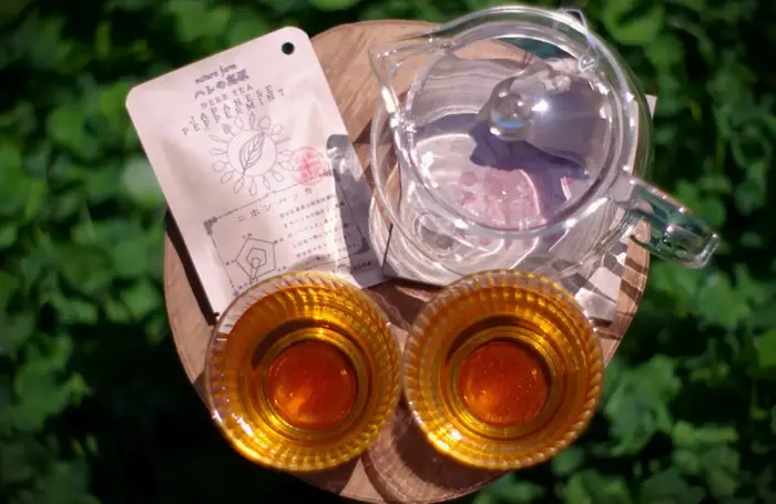 フェアフィールド・バイ・マリオット広島世羅で特別な夜を。ニホンハッカ香るブレンド体験