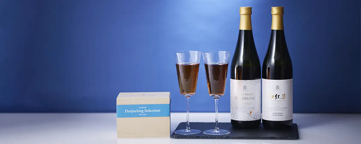 広島三越に「nittoh.1909」期間限定出店、人気のCold Brew Teaも登場