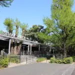 広島県唯一のブランド地鶏「東広島こい地鶏」を使った新名物・中華そばが誕生!