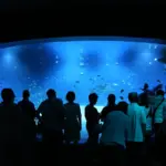 広島旅行が一気にアップグレード！新ホテル「アンダーズ」2027年開業へ