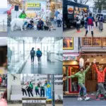 秋の高原を彩る花が見頃！世羅高原農場で「ダリアとガーデンマム祭 2025」開催中