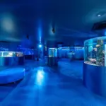 水族館の余韻をホテルで味わう！広島もとまち水族館開業記念コラボメニュー