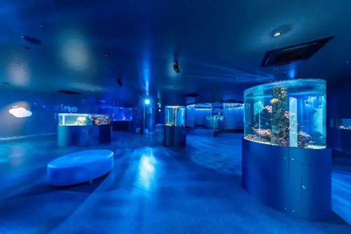 水族館の余韻をホテルで味わう！広島もとまち水族館開業記念コラボメニュー