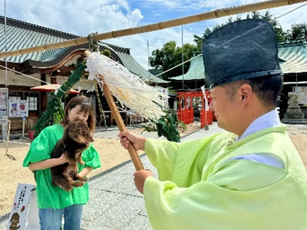 尾道・因島の大山神社で「第2回 わんこ祭」 愛犬とともに祈る無病息災と厄除けの2日間