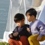 泊まれる備北イルミ！70万球の光きらめく夜に、特典満載の「湖畔ステイズ庄原」でコラボ宿泊