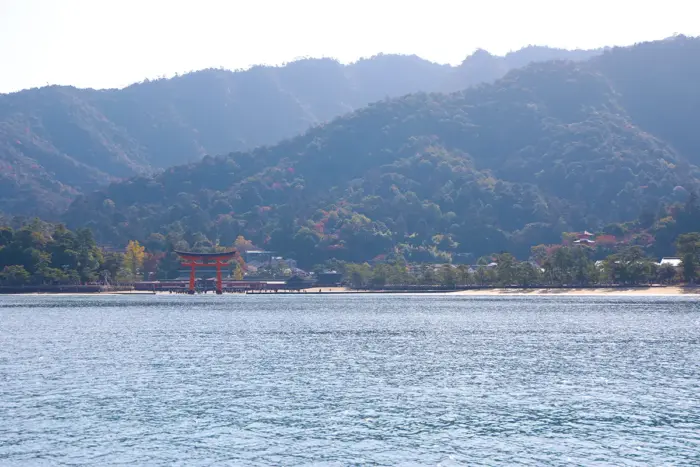 イチオシ：観光地・宮島が紅葉シーズン本番へ　紅葉谷公園が鮮やかに染まる秋景色
