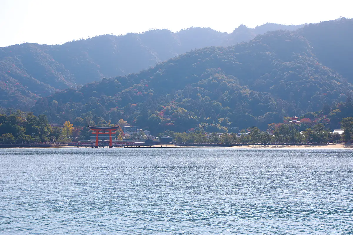 観光地・宮島が紅葉シーズン本番へ　紅葉谷公園が鮮やかに染まる秋景色