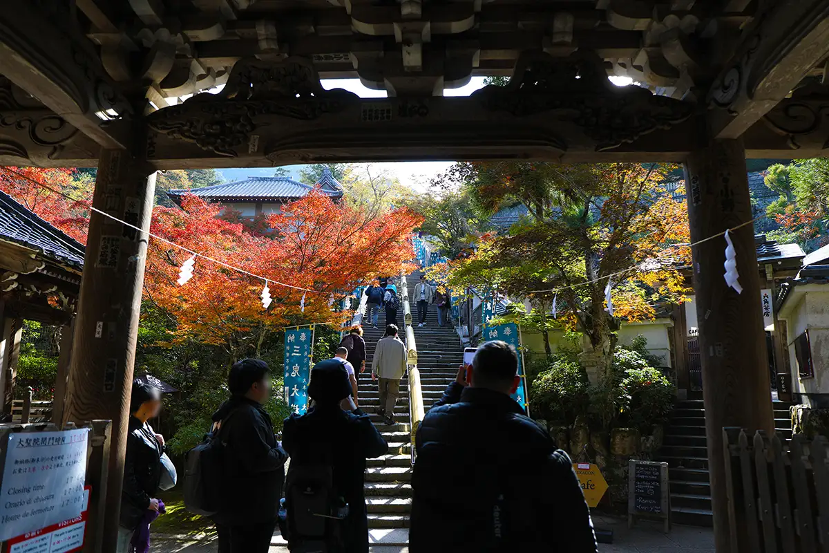 秋色に染まる宮島・大聖院　海まで見渡せる絶景の紅葉スポットが見ごろに