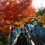 クリスマスアイテムの手作りワークショップ、特別体験を「森と花の絵本ミュージアム GardenLei」で