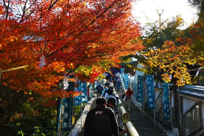 秋色に染まる宮島・大聖院　海まで見渡せる絶景の紅葉スポットが見ごろに