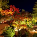 11月8日(土)・9日(日)に広島県内で開催されるおすすめイベント紹介！紅葉も色づき始め