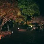 紅葉ライトアップや体験企画も充実「三景園もみじまつり2025」開催中