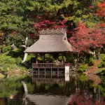 樹齢1,100年の巨樹・筒賀の大銀杏(おおいちょう)をライトアップ！地域マルシェも