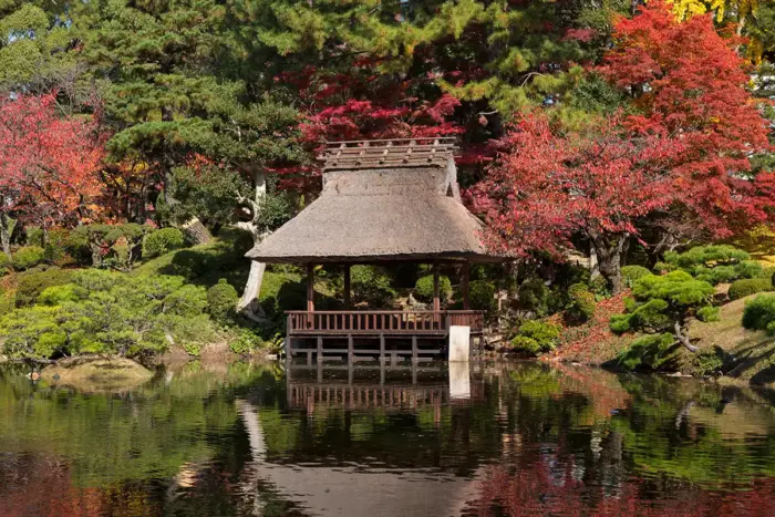 秋の情緒あふれる紅葉の庭園「縮景園もみじまつり」　幻想的なライトアップも